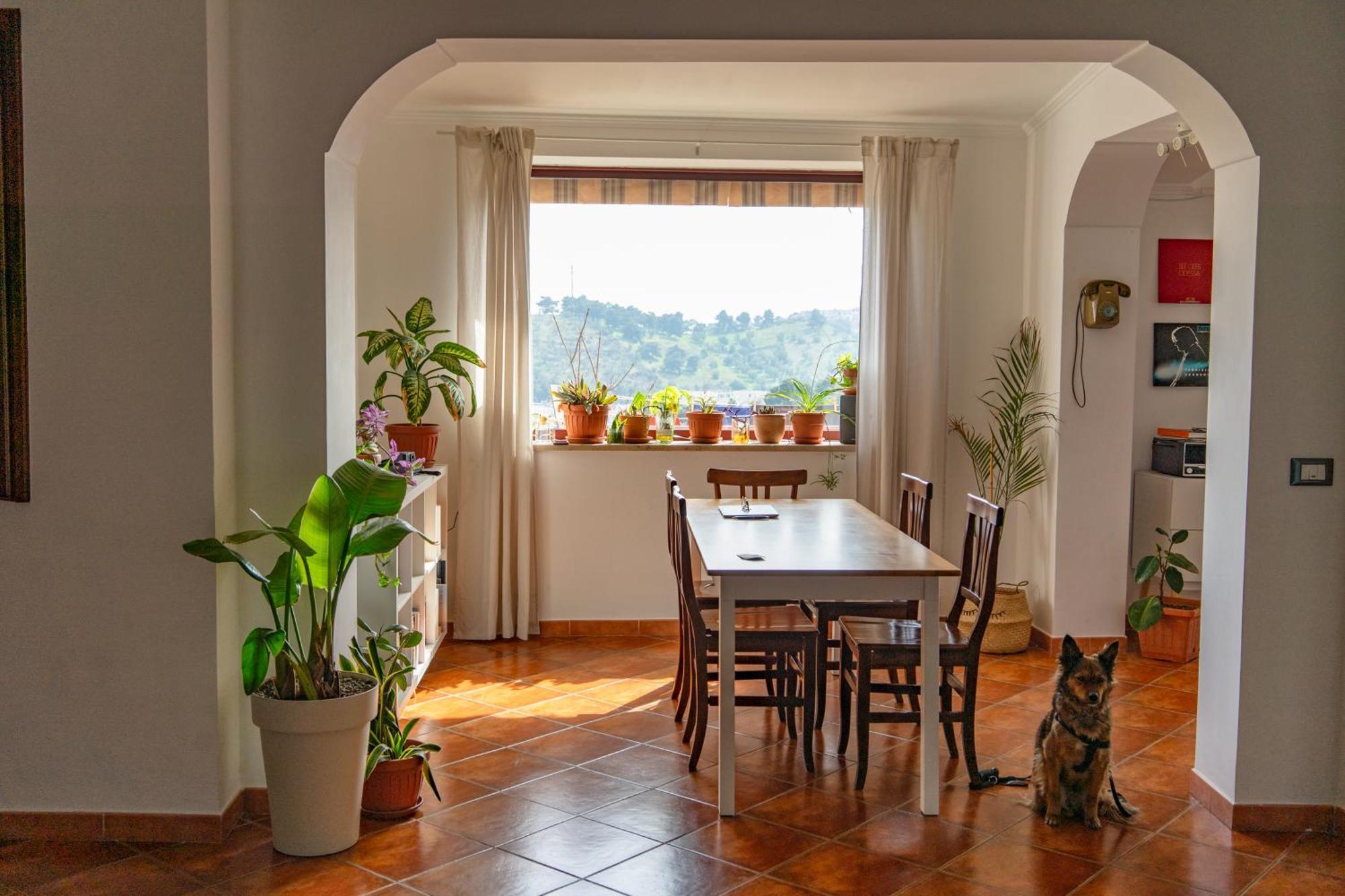 Coliving Together Gargano Весте Екстериор снимка